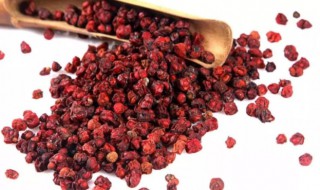 五味子吃法及作用 食用五味子的好处