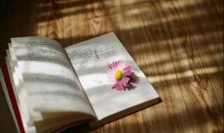 永别近义词 永别的意思