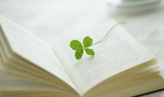 尊能组什么词 尊的意思