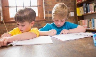 豆是什么结构 豆的结构是什么呢