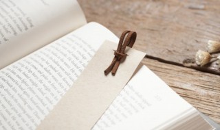 知否知否应是绿肥红瘦的红瘦是什么花 绿肥红瘦的红瘦是啥花