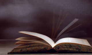 装字的部首是什么 装字的部首是啥