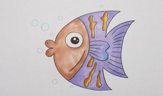画小鱼怎么画 小鱼简笔画教程