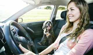 车上的push是什么意思 push的作用