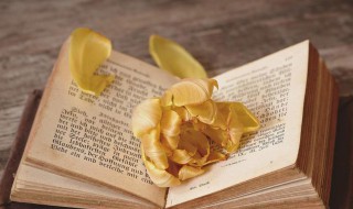 远水不救近火讲述了一个什么道理 远水不救近火的含义