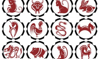 1954年属什么 出生在1954年属什么