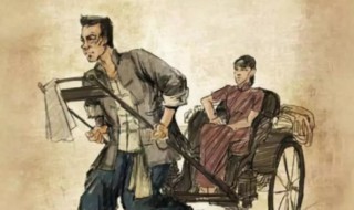 从骆驼祥子中体会到的道理 骆驼祥子的道理是什么