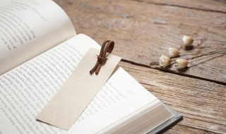 外举不避仇内举不避亲的举意思 举是什么意思