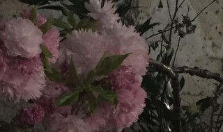 文案高级简短 高级简短文案有哪些