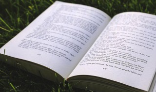 春雪这首诗的意思全诗的意思 春雪这首诗的翻译