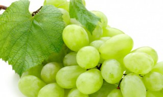 清洗提子又快又干净 清洗提子方法