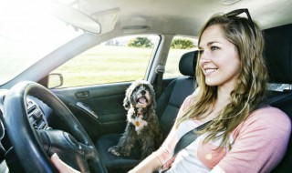 车过户需要什么手续 车过户需要的手续