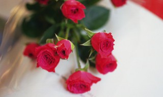 愚人节如何表白 愚人节怎样表白