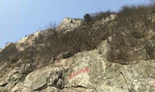 爬泰山攻略 爬泰山攻略是什么