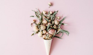 送病人什么花 什么花适合送给病人