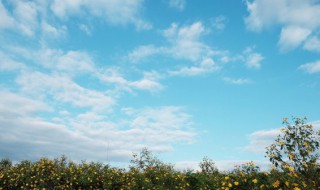 天空为什么是蓝色的答案 天空为什么是蓝色