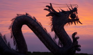 2024年是什么年 2024年对应的属相