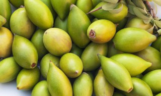 阿甘油的功效与作用 阿甘油的功效与作用是什么