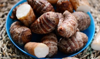 消肿散结的食物 消肿散结的食物有哪些