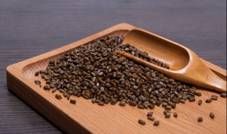 决明子可以天天喝吗 能不能每天喝决明子