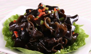 木耳和绿豆能一起吃吗 木耳和绿豆能不能一起吃