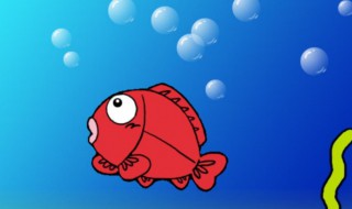 鱼沉底不动是什么情况 鱼沉底不动的原因