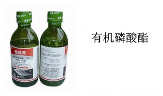 有机磷是什么 什么是有机磷