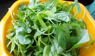 豆腐和苋菜能一起吃吗 豆腐和苋菜能不能一起吃