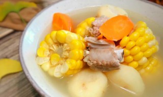 冬瓜和胡萝卜能一起炖排骨吗 冬瓜和胡萝卜能不能一起炖排骨