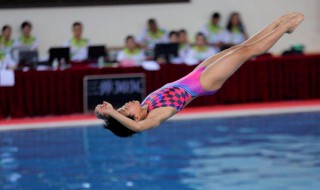 运动员全红婵个人资料 运动员全红婵简介