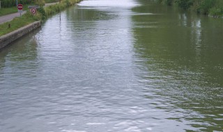 水质变黑怎么处理方法 鱼塘水质变黑的处理方法介绍