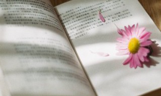 西内什么意思 西内的意思是什么