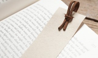 小说里温暖治愈的句子 小说里温暖治愈的句子有哪些