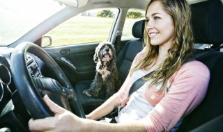 sagitar是什么车 sagitar是什么牌子的车