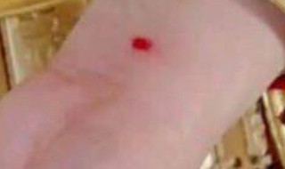 古代守宫砂有科学依据吗 古代守宫砂是什么