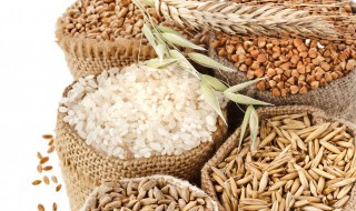 作物是什么意思 什么是作物