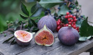 女性吃无花果的好处 女性吃无花果有什么好处