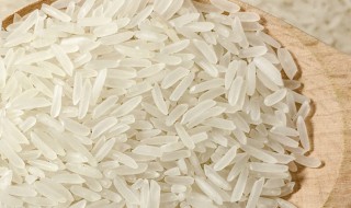 米生了蛾子还能吃吗 米生了蛾子还能不能吃