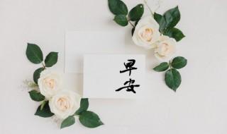 早安暖心短句简短 比较暖心的早安心语