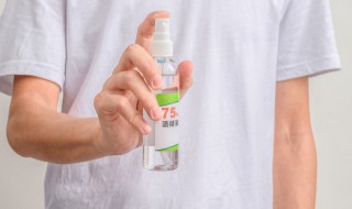 酒精能杀死蟑螂虫卵吗 酒精能不能杀死蟑螂虫卵