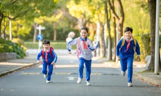 分类招生是什么意思 何谓分类招生