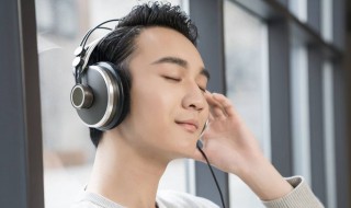 军中绿花的歌词 军中绿花的歌曲简介