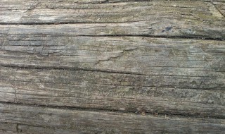 粗糙近义词 粗糙近义词有哪些