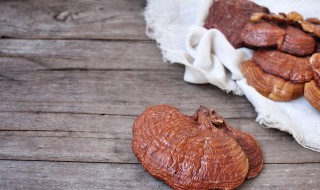 吃灵芝孢子粉有何禁忌 吃灵芝孢子粉有什么禁忌