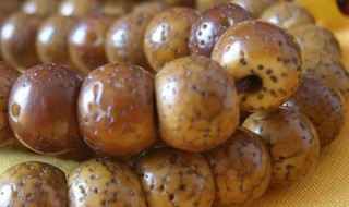 戴星月菩提有什么禁忌 戴星月菩提有啥禁忌