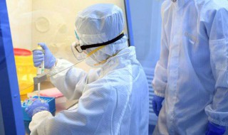 做核酸的步骤 做核酸的流程