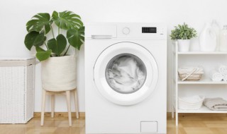 洗衣机外壳怎样清洗 怎样清洗洗衣机外壳