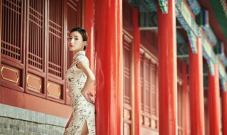 梦女和乙女什么意思 梦女和乙女含义