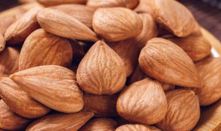 小白杏仁的功效与作用及禁忌 小白杏仁的功效与作用和禁忌有哪些