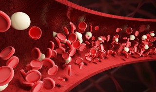 我们人类血液作用是什么 人类血液作用介绍